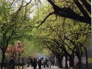 ɽ��ʦ����ѧ����