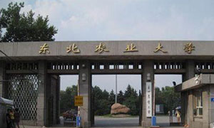 ����ũҵ��ѧ