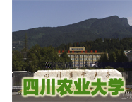 �Ĵ�ũҵ��ѧ�������