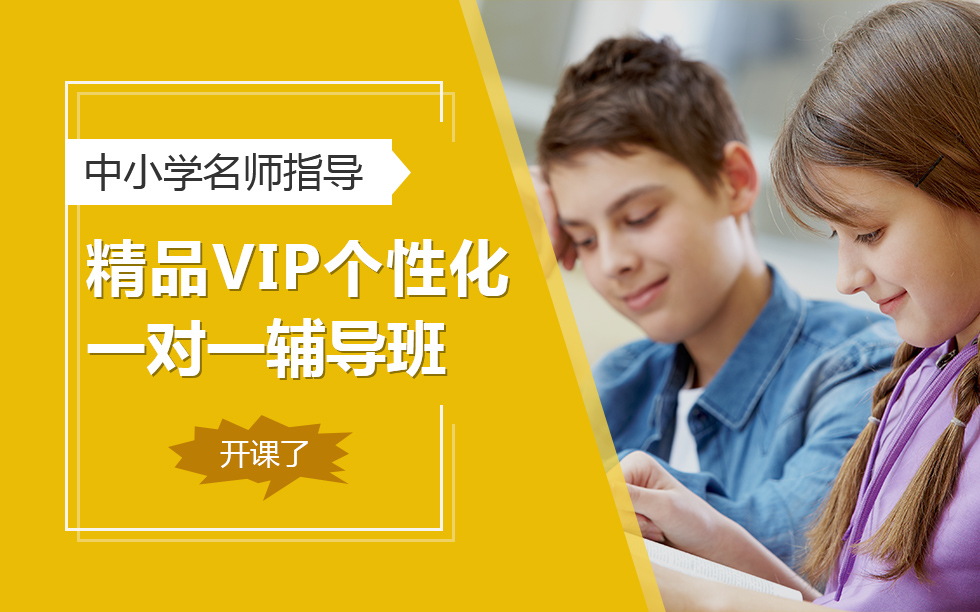 ��Сѧ��ʦָ��+��ƷVIP���Ի�һ��һ�����࿪����