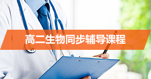 �߶���������ͬ�������γ�